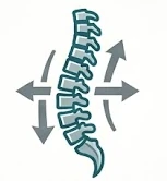 Spinal adjustment and joint manipulation treatment