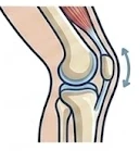 Knee pain treatment icon