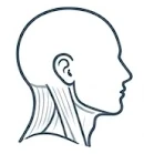 Neck pain treatment icon